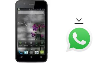 Come installare WhatsApp su MeanIT Q1 Plus