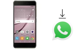 Come installare WhatsApp su Meeg 210R