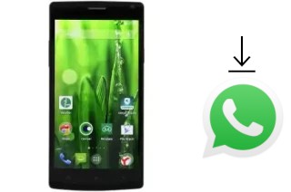 Come installare WhatsApp su MegaFon MFLoginPh