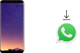 Come installare WhatsApp su Meiigoo S8