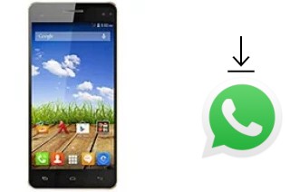 Come installare WhatsApp su Micromax A190 Canvas HD Plus