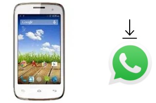 Come installare WhatsApp su Micromax A65 Bolt