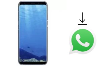 Come installare WhatsApp su Mione Mix 9 Pro