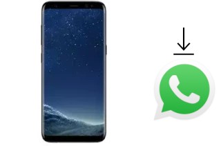 Come installare WhatsApp su Mione Mix 9