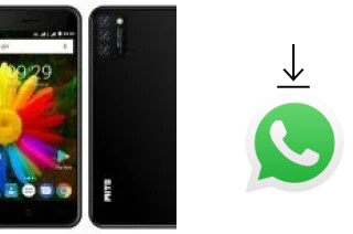 Come installare WhatsApp su Mito Z5