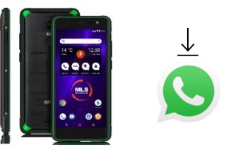 Come installare WhatsApp su MLS Apollo P10