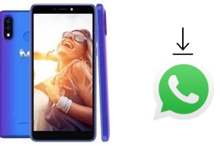 Come installare WhatsApp su Mobicel  R4