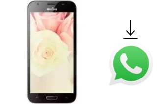 Come installare WhatsApp su Mobiola MS50A4000