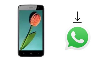 Come installare WhatsApp su Mobiola Wave 5