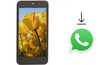 Come installare WhatsApp su Mobitel 404