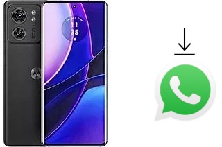 Come installare WhatsApp su Motorola Edge (2023)