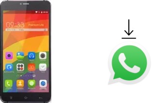 Come installare WhatsApp su MPIE V2