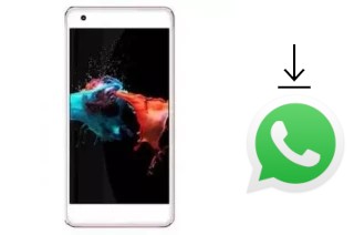 Come installare WhatsApp su MTO MK394