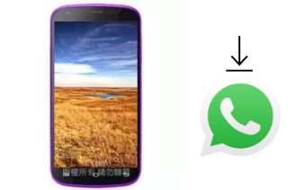 Come installare WhatsApp su MTO MK399