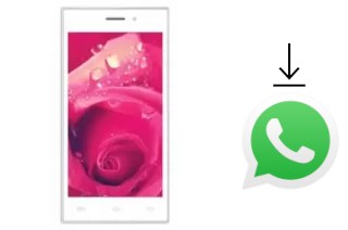 Come installare WhatsApp su MXNEC S903 Upgrade