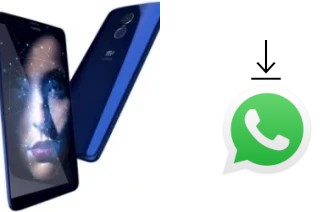 Come installare WhatsApp su MyPhone Prime 18x9 LTE