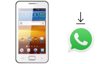 Come installare WhatsApp su Neoson X901