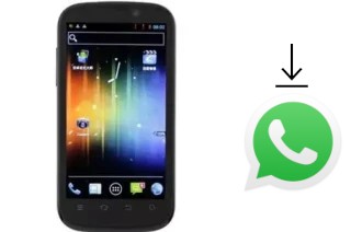 Come installare WhatsApp su Newman N1