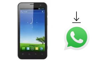 Come installare WhatsApp su Newman N2