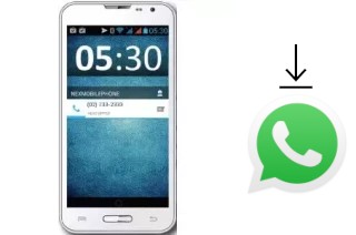 Come installare WhatsApp su NEX Slam 5