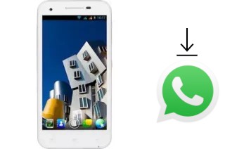 Come installare WhatsApp su NGM Dynamic Maxi