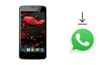 Come installare WhatsApp su NGM Forward Ruby