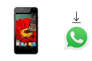 Come installare WhatsApp su NGM Legend2