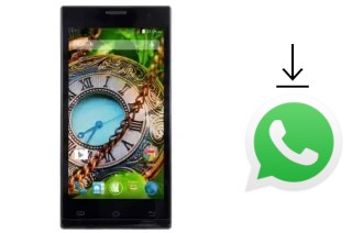 Come installare WhatsApp su NGM Time