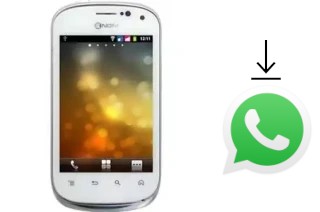 Come installare WhatsApp su NGM Wemove Quasar