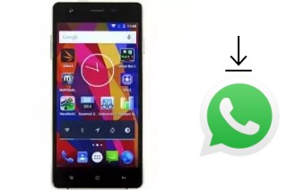 Come installare WhatsApp su Nipda Depression Z5