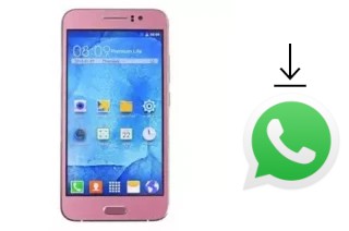 Come installare WhatsApp su Nipda Hurricane A8