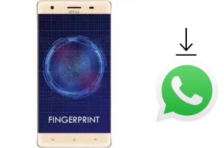 Come installare WhatsApp su Nipda Tsunami-F9