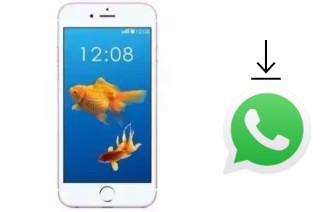 Come installare WhatsApp su Nipda Tsunami IP6