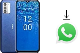 Come installare WhatsApp su Nokia G310