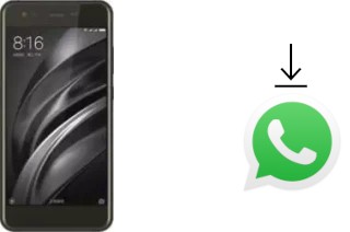 Come installare WhatsApp su Nomu M8