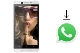 Come installare WhatsApp su Nuqleo Quadrant