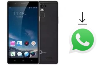 Come installare WhatsApp su Oeina R8S