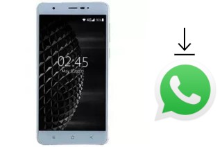 Come installare WhatsApp su OKWU Omicron