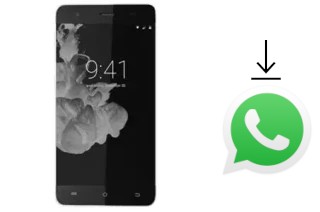 Come installare WhatsApp su Onix S501