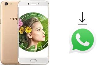 Come installare WhatsApp su Oppo A77