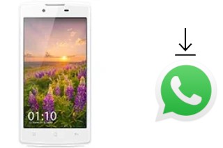 Come installare WhatsApp su Oppo Neo 3