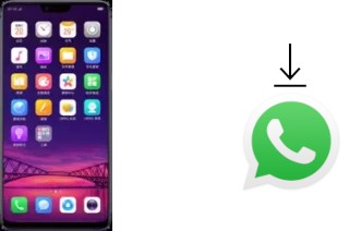 Come installare WhatsApp su Oppo R15 Dream Mirror