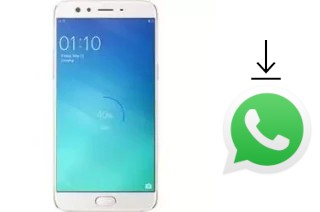 Come installare WhatsApp su Oppo R9S Pro