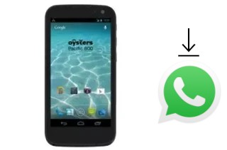 Come installare WhatsApp su Oysters Pacific 800