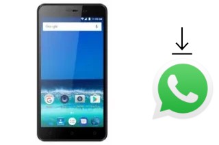 Come installare WhatsApp su PCD 509