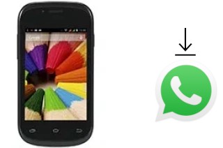 Come installare WhatsApp su Plum Sync 3.5