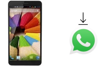 Come installare WhatsApp su Plum Coach Plus II