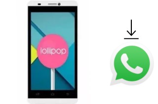 Come installare WhatsApp su Polytron R2502