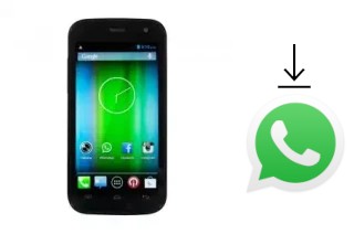 Come installare WhatsApp su Pulsare 785