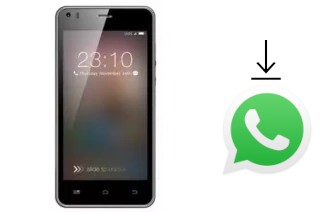 Come installare WhatsApp su Pulsare 786